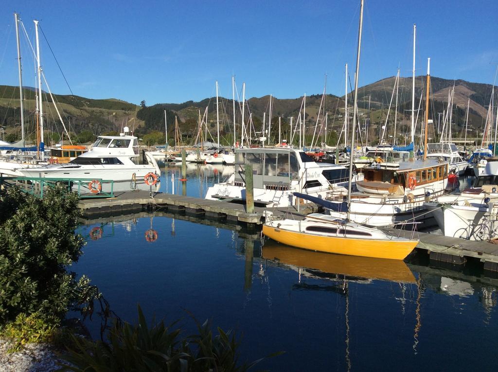 Harbourside Lodge Nelson Eksteriør billede